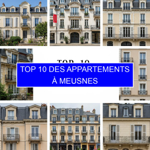 Top 5 des Appartements à Meusnes