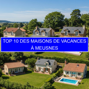 Top 10 des Maisons de vacances à Meusnes